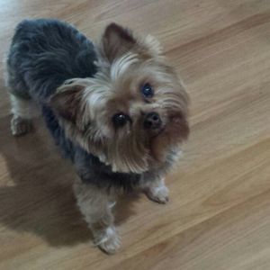 Meet your Posher, Julie